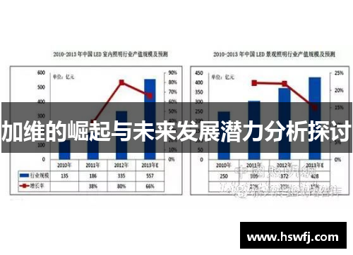 加维的崛起与未来发展潜力分析探讨