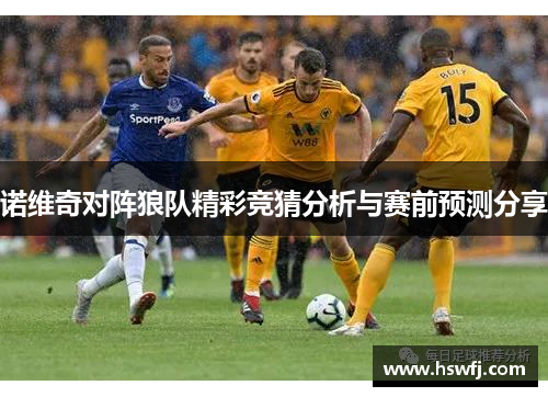 诺维奇对阵狼队精彩竞猜分析与赛前预测分享